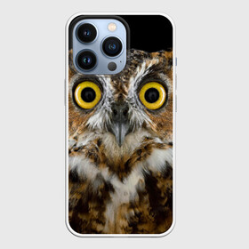 Чехол для iPhone 13 Pro с принтом Сова в Санкт-Петербурге,  |  | взгляд | гипноз | гипнотический | глаза | мистическая | ночная | ночь | птица | сова | фон | хищник | черный