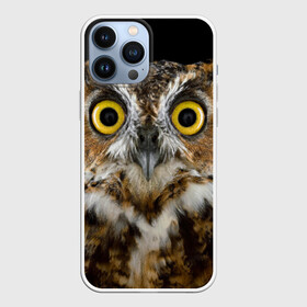 Чехол для iPhone 13 Pro Max с принтом Сова в Санкт-Петербурге,  |  | взгляд | гипноз | гипнотический | глаза | мистическая | ночная | ночь | птица | сова | фон | хищник | черный