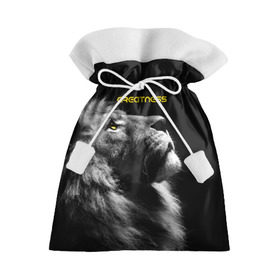 Подарочный 3D мешок с принтом Greatness (Величие) в Санкт-Петербурге, 100% полиэстер | Размер: 29*39 см | lion | великий | киска | кот | кошка | лев | сильный