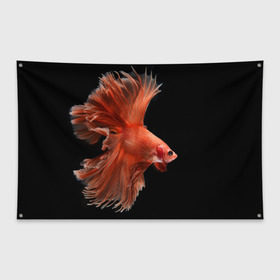 Флаг-баннер с принтом Бойцовая рыбка в Санкт-Петербурге, 100% полиэстер | размер 67 х 109 см, плотность ткани — 95 г/м2; по краям флага есть четыре люверса для крепления | аквариумная | бойцовая | красивый | плавники | рыба | рыбка | хвост | япаонская