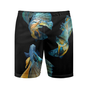 Мужские шорты 3D спортивные с принтом Бойцовая рыбка в Санкт-Петербурге,  |  | аквариумная | бойцовая | красивый | плавники | рыба | рыбка | хвост | япаонская