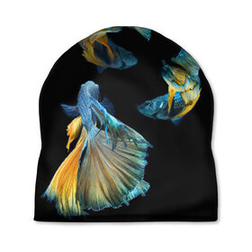 Шапка 3D с принтом Бойцовая рыбка в Санкт-Петербурге, 100% полиэстер | универсальный размер, печать по всей поверхности изделия | Тематика изображения на принте: аквариумная | бойцовая | красивый | плавники | рыба | рыбка | хвост | япаонская