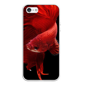 Чехол силиконовый для Телефон Apple iPhone 5/5S с принтом Бойцовая рыбка в Санкт-Петербурге, Силикон | Область печати: задняя сторона чехла, без боковых панелей | аквариумная | бойцовая | красивый | плавники | рыба | рыбка | хвост | япаонская