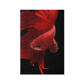 Обложка для паспорта матовая кожа с принтом Бойцовая рыбка в Санкт-Петербурге, натуральная матовая кожа | размер 19,3 х 13,7 см; прозрачные пластиковые крепления | аквариумная | бойцовая | красивый | плавники | рыба | рыбка | хвост | япаонская