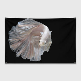 Флаг-баннер с принтом Бойцовая рыбка в Санкт-Петербурге, 100% полиэстер | размер 67 х 109 см, плотность ткани — 95 г/м2; по краям флага есть четыре люверса для крепления | аквариумная | бойцовая | красивый | плавники | рыба | рыбка | хвост | япаонская