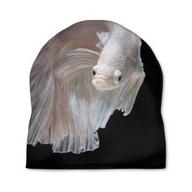 Шапка 3D с принтом Бойцовая рыбка в Санкт-Петербурге, 100% полиэстер | универсальный размер, печать по всей поверхности изделия | Тематика изображения на принте: аквариумная | бойцовая | красивый | плавники | рыба | рыбка | хвост | япаонская