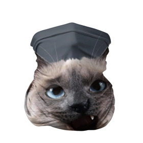 Бандана-труба 3D с принтом Злой кот в Санкт-Петербурге, 100% полиэстер, ткань с особыми свойствами — Activecool | плотность 150‒180 г/м2; хорошо тянется, но сохраняет форму | взгляд | домашнее | животное | злой | зубы | клыки | кот | котэ | кошка | оскал | сеамский