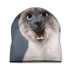 Шапка 3D с принтом Злой кот в Санкт-Петербурге, 100% полиэстер | универсальный размер, печать по всей поверхности изделия | взгляд | домашнее | животное | злой | зубы | клыки | кот | котэ | кошка | оскал | сеамский
