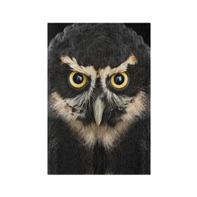 Обложка для паспорта матовая кожа с принтом Сова в Санкт-Петербурге, натуральная матовая кожа | размер 19,3 х 13,7 см; прозрачные пластиковые крепления | взгляд | гипноз | гипнотический | глаза | мистическая | ночная | ночь | птица | сова | фон | хищник | черный
