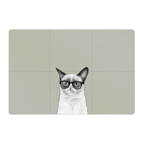 Магнитный плакат 3Х2 с принтом Кот - хипстер в Санкт-Петербурге, Полимерный материал с магнитным слоем | 6 деталей размером 9*9 см | Тематика изображения на принте: cat | hipster | кот | кошка | хипстер