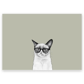 Поздравительная открытка с принтом Кот - хипстер в Санкт-Петербурге, 100% бумага | плотность бумаги 280 г/м2, матовая, на обратной стороне линовка и место для марки
 | Тематика изображения на принте: cat | hipster | кот | кошка | хипстер