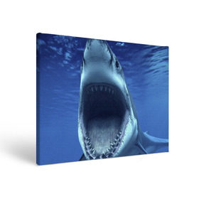 Холст прямоугольный с принтом Белая акула в Санкт-Петербурге, 100% ПВХ |  | Тематика изображения на принте: shark | море | синий