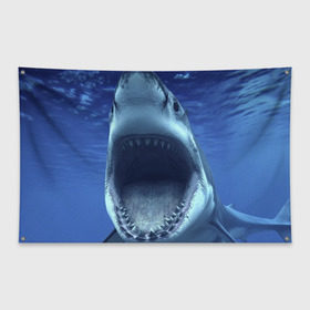 Флаг-баннер с принтом Белая акула в Санкт-Петербурге, 100% полиэстер | размер 67 х 109 см, плотность ткани — 95 г/м2; по краям флага есть четыре люверса для крепления | shark | море | синий
