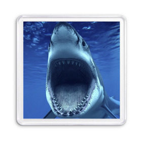 Магнит 55*55 с принтом Белая акула в Санкт-Петербурге, Пластик | Размер: 65*65 мм; Размер печати: 55*55 мм | shark | море | синий