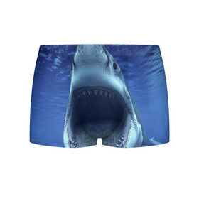 Мужские трусы 3D с принтом Белая акула в Санкт-Петербурге, 50% хлопок, 50% полиэстер | классическая посадка, на поясе мягкая тканевая резинка | shark | море | синий