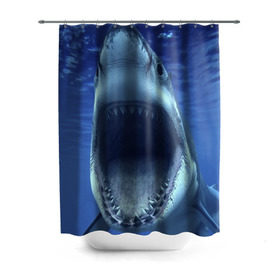 Штора 3D для ванной с принтом Белая акула в Санкт-Петербурге, 100% полиэстер | плотность материала — 100 г/м2. Стандартный размер — 146 см х 180 см. По верхнему краю — пластиковые люверсы для креплений. В комплекте 10 пластиковых колец | shark | море | синий