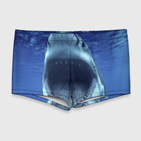 Мужские купальные плавки 3D с принтом Белая акула в Санкт-Петербурге, Полиэстер 85%, Спандекс 15% |  | shark | море | синий