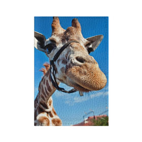 Обложка для паспорта матовая кожа с принтом Прикольный жираф в Санкт-Петербурге, натуральная матовая кожа | размер 19,3 х 13,7 см; прозрачные пластиковые крепления | Тематика изображения на принте: африка | животное | жираф | небо | природа