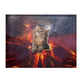 Обложка для студенческого билета с принтом Кот на вулкане в Санкт-Петербурге, натуральная кожа | Размер: 11*8 см; Печать на всей внешней стороне | Тематика изображения на принте: вулкан | извержение | кот | котенок | лава | метеорит