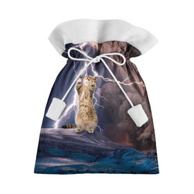 Подарочный 3D мешок с принтом Кот и молния в Санкт-Петербурге, 100% полиэстер | Размер: 29*39 см | буря | гроза | кот | котенок | молния | облака