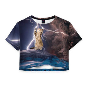 Женская футболка 3D укороченная с принтом Кот и молния в Санкт-Петербурге, 100% полиэстер | круглая горловина, длина футболки до линии талии, рукава с отворотами | буря | гроза | кот | котенок | молния | облака