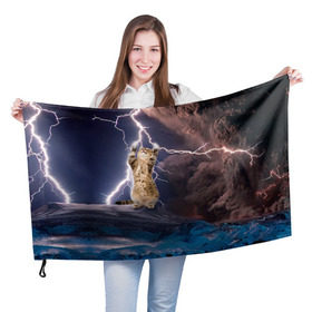 Флаг 3D с принтом Кот и молния в Санкт-Петербурге, 100% полиэстер | плотность ткани — 95 г/м2, размер — 67 х 109 см. Принт наносится с одной стороны | буря | гроза | кот | котенок | молния | облака