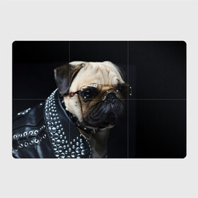 Магнитный плакат 3Х2 с принтом Бульдог в очках в Санкт-Петербурге, Полимерный материал с магнитным слоем | 6 деталей размером 9*9 см | бульдог в очках | домашнее | животное | клепки | кожа | металлист | очки | пес | прикол | рокер | собака | умный | ученый | французский