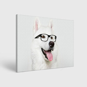 Холст прямоугольный с принтом Собака в очках в Санкт-Петербурге, 100% ПВХ |  | домашнее | животное | очки | пес | прикол | собака в очках | умный | ученый