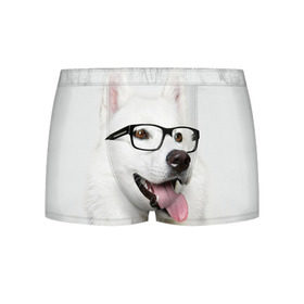 Мужские трусы 3D с принтом Собака в очках в Санкт-Петербурге, 50% хлопок, 50% полиэстер | классическая посадка, на поясе мягкая тканевая резинка | Тематика изображения на принте: домашнее | животное | очки | пес | прикол | собака в очках | умный | ученый