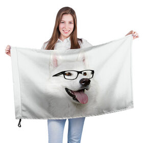 Флаг 3D с принтом Собака в очках в Санкт-Петербурге, 100% полиэстер | плотность ткани — 95 г/м2, размер — 67 х 109 см. Принт наносится с одной стороны | домашнее | животное | очки | пес | прикол | собака в очках | умный | ученый