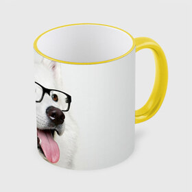 Кружка 3D с принтом Собака в очках в Санкт-Петербурге, керамика | ёмкость 330 мл | домашнее | животное | очки | пес | прикол | собака в очках | умный | ученый