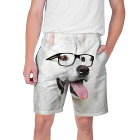 Мужские шорты 3D с принтом Собака в очках в Санкт-Петербурге,  полиэстер 100% | прямой крой, два кармана без застежек по бокам. Мягкая трикотажная резинка на поясе, внутри которой широкие завязки. Длина чуть выше колен | Тематика изображения на принте: домашнее | животное | очки | пес | прикол | собака в очках | умный | ученый
