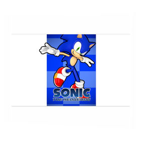 Бумага для упаковки 3D с принтом Sonic The-Hedgehog в Санкт-Петербурге, пластик и полированная сталь | круглая форма, металлическое крепление в виде кольца | Тематика изображения на принте: sega sonic