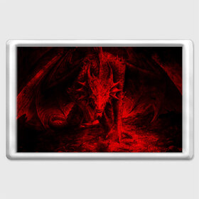 Магнит 45*70 с принтом Дракон в Санкт-Петербурге, Пластик | Размер: 78*52 мм; Размер печати: 70*45 | Тематика изображения на принте: dragon | дракон
