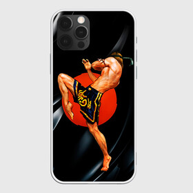 Чехол для iPhone 12 Pro с принтом Muay thai 4 в Санкт-Петербурге, силикон | область печати: задняя сторона чехла, без боковых панелей | Тематика изображения на принте: muay thai