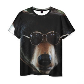 Мужская футболка 3D с принтом Медведь в очках в Санкт-Петербурге, 100% полиэфир | прямой крой, круглый вырез горловины, длина до линии бедер | животное | медведь | новая | очки | природа | стильная