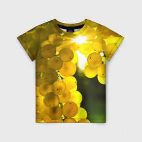Детская футболка 3D с принтом Виноград в Санкт-Петербурге, 100% гипоаллергенный полиэфир | прямой крой, круглый вырез горловины, длина до линии бедер, чуть спущенное плечо, ткань немного тянется | виноград | виноградник | лоза | лучи | солнце | ягоды