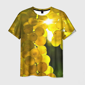Мужская футболка 3D с принтом Виноград в Санкт-Петербурге, 100% полиэфир | прямой крой, круглый вырез горловины, длина до линии бедер | виноград | виноградник | лоза | лучи | солнце | ягоды