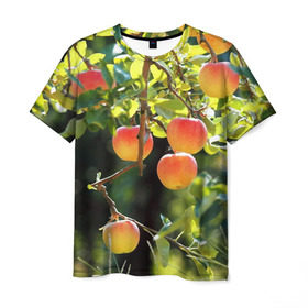 Мужская футболка 3D с принтом Яблоки в Санкт-Петербурге, 100% полиэфир | прямой крой, круглый вырез горловины, длина до линии бедер | дерево | зелень | красные | сад