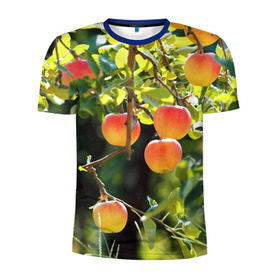 Мужская футболка 3D спортивная с принтом Яблоки в Санкт-Петербурге, 100% полиэстер с улучшенными характеристиками | приталенный силуэт, круглая горловина, широкие плечи, сужается к линии бедра | дерево | зелень | красные | сад