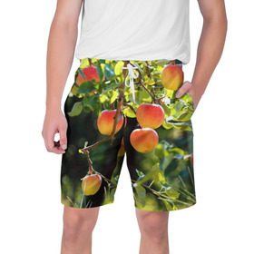 Мужские шорты 3D с принтом Яблоки в Санкт-Петербурге,  полиэстер 100% | прямой крой, два кармана без застежек по бокам. Мягкая трикотажная резинка на поясе, внутри которой широкие завязки. Длина чуть выше колен | дерево | зелень | красные | сад