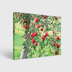 Холст прямоугольный с принтом Яблоки в Санкт-Петербурге, 100% ПВХ |  | дерево | зелень | красные | сад | яблоки