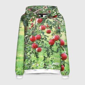 Мужская толстовка 3D с принтом Яблоки в Санкт-Петербурге, 100% полиэстер | двухслойный капюшон со шнурком для регулировки, мягкие манжеты на рукавах и по низу толстовки, спереди карман-кенгуру с мягким внутренним слоем. | дерево | зелень | красные | сад | яблоки