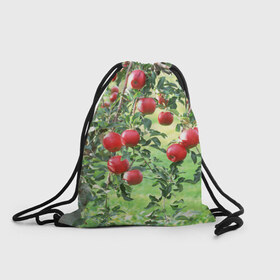 Рюкзак-мешок 3D с принтом Яблоки в Санкт-Петербурге, 100% полиэстер | плотность ткани — 200 г/м2, размер — 35 х 45 см; лямки — толстые шнурки, застежка на шнуровке, без карманов и подкладки | дерево | зелень | красные | сад | яблоки