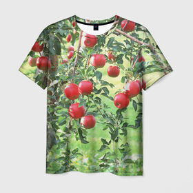 Мужская футболка 3D с принтом Яблоки в Санкт-Петербурге, 100% полиэфир | прямой крой, круглый вырез горловины, длина до линии бедер | дерево | зелень | красные | сад | яблоки