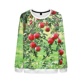 Мужской свитшот 3D с принтом Яблоки в Санкт-Петербурге, 100% полиэстер с мягким внутренним слоем | круглый вырез горловины, мягкая резинка на манжетах и поясе, свободная посадка по фигуре | Тематика изображения на принте: дерево | зелень | красные | сад | яблоки