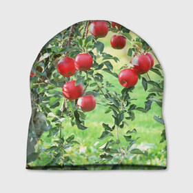 Шапка 3D с принтом Яблоки в Санкт-Петербурге, 100% полиэстер | универсальный размер, печать по всей поверхности изделия | дерево | зелень | красные | сад | яблоки