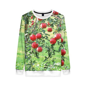 Женский свитшот 3D с принтом Яблоки в Санкт-Петербурге, 100% полиэстер с мягким внутренним слоем | круглый вырез горловины, мягкая резинка на манжетах и поясе, свободная посадка по фигуре | дерево | зелень | красные | сад | яблоки