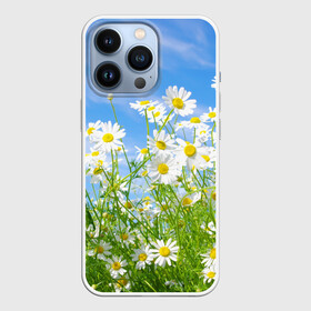 Чехол для iPhone 13 Pro с принтом Ромашки в Санкт-Петербурге,  |  | луг | цветы