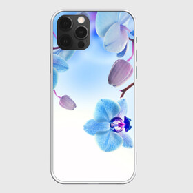 Чехол для iPhone 12 Pro с принтом Голубая орхидея в Санкт-Петербурге, силикон | область печати: задняя сторона чехла, без боковых панелей | голубая орхидея | красота | орхидеи | природа | цветок | цветочек | цветы
